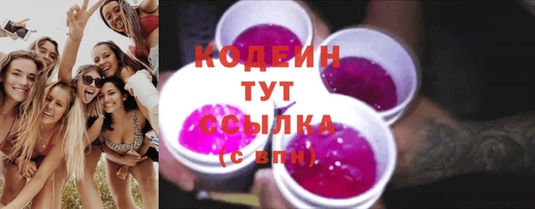 гашик Кодинск