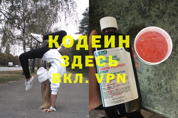 гашик Кодинск