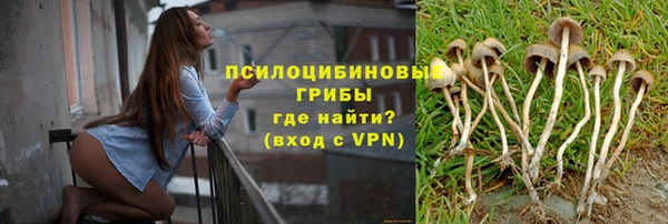 MDMA Premium VHQ Козельск