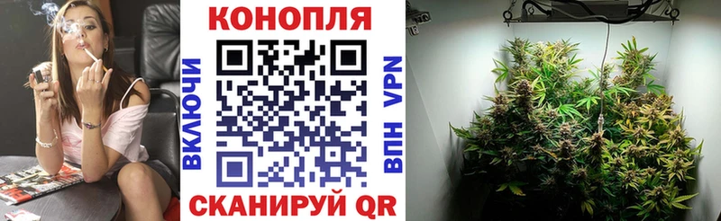 Купить закладки  Дюртюли  Шишки марихуана сатива 